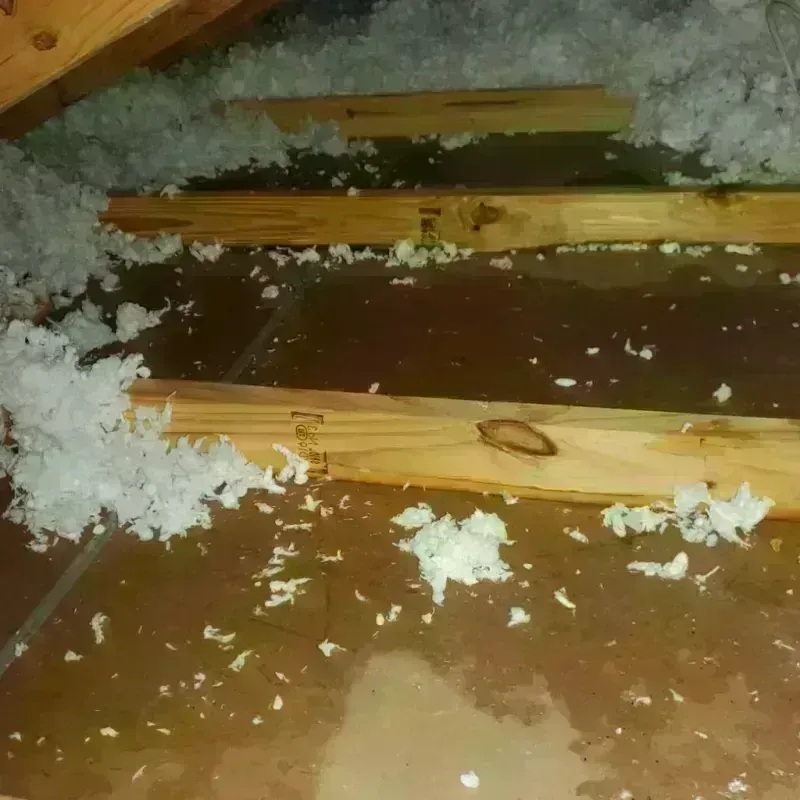 Attic Water Damage in Arcade, NY